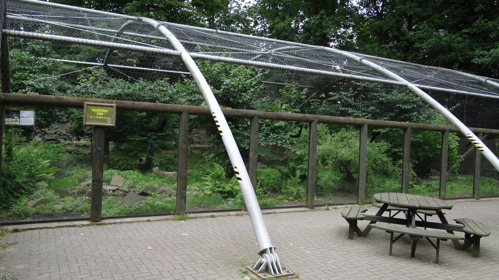 Snow Leopard enclosure