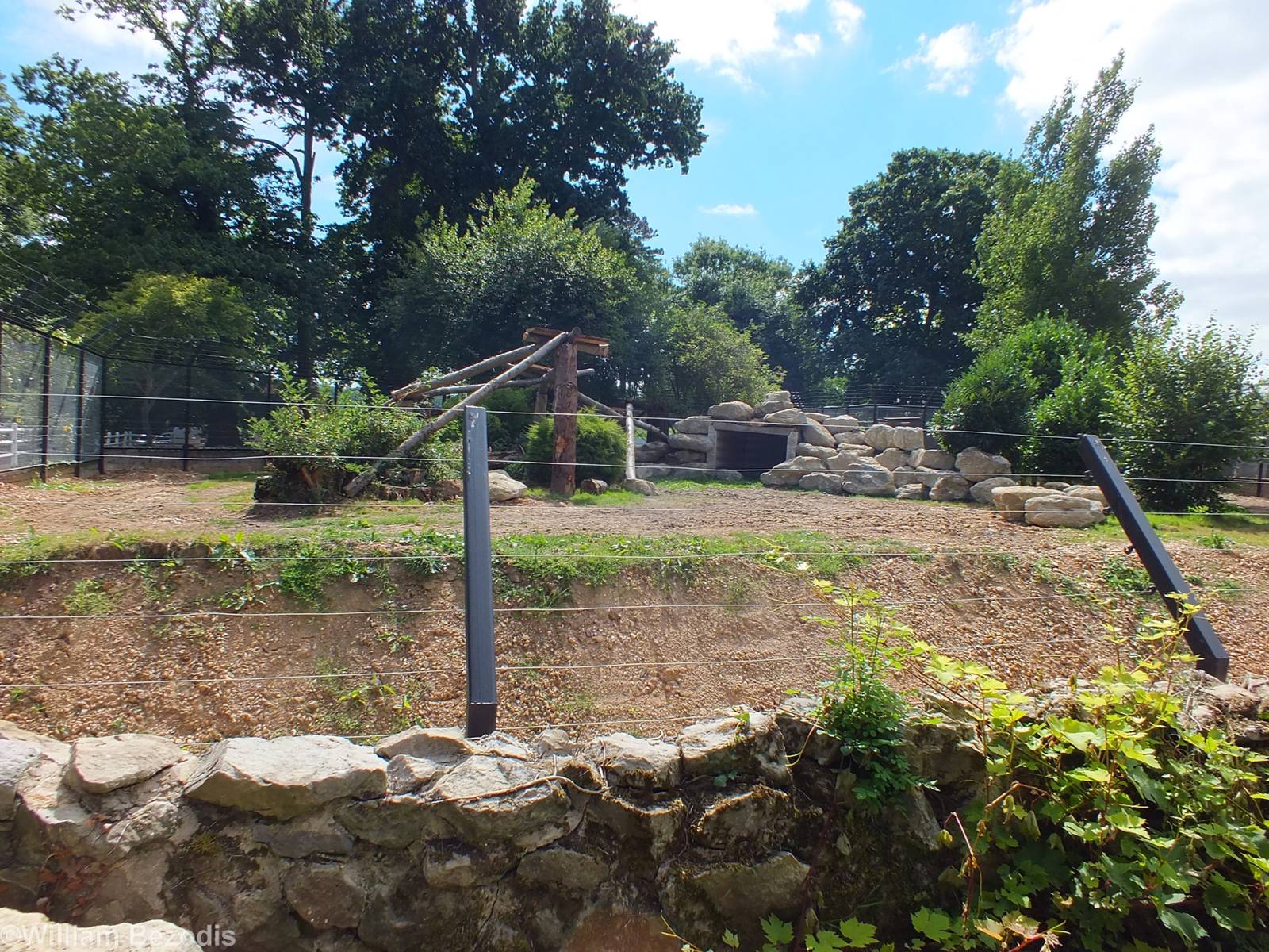 Snow Leopard Enclosure