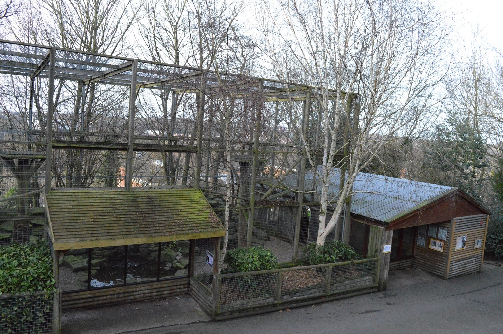 Snow leopard enclosure