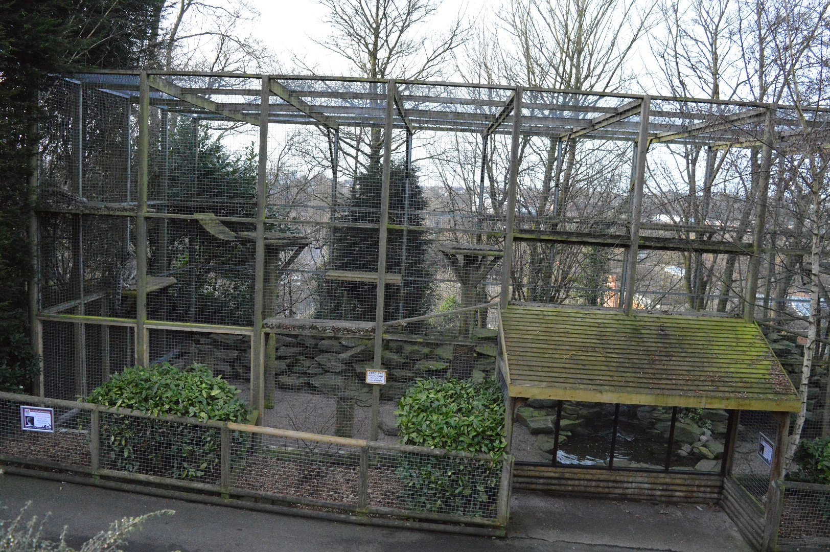 Snow leopard enclosure