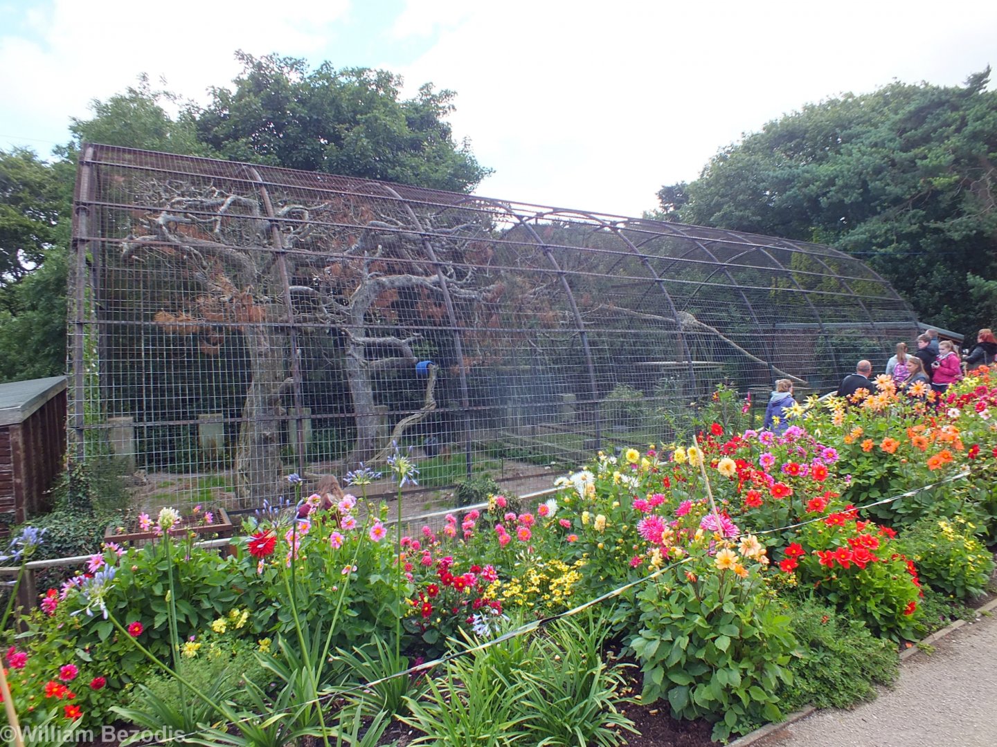 Snow Leopard Enclosure