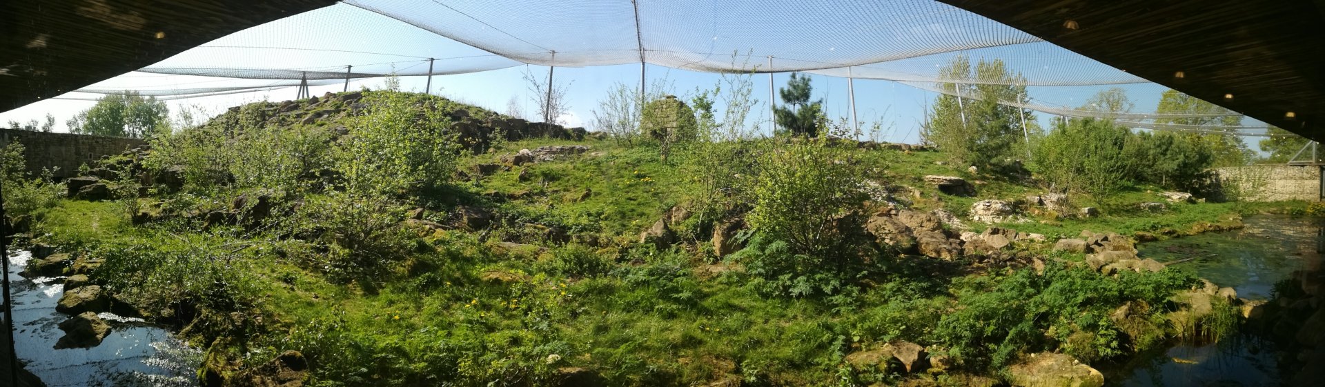 Snow Leopard Enclosure
