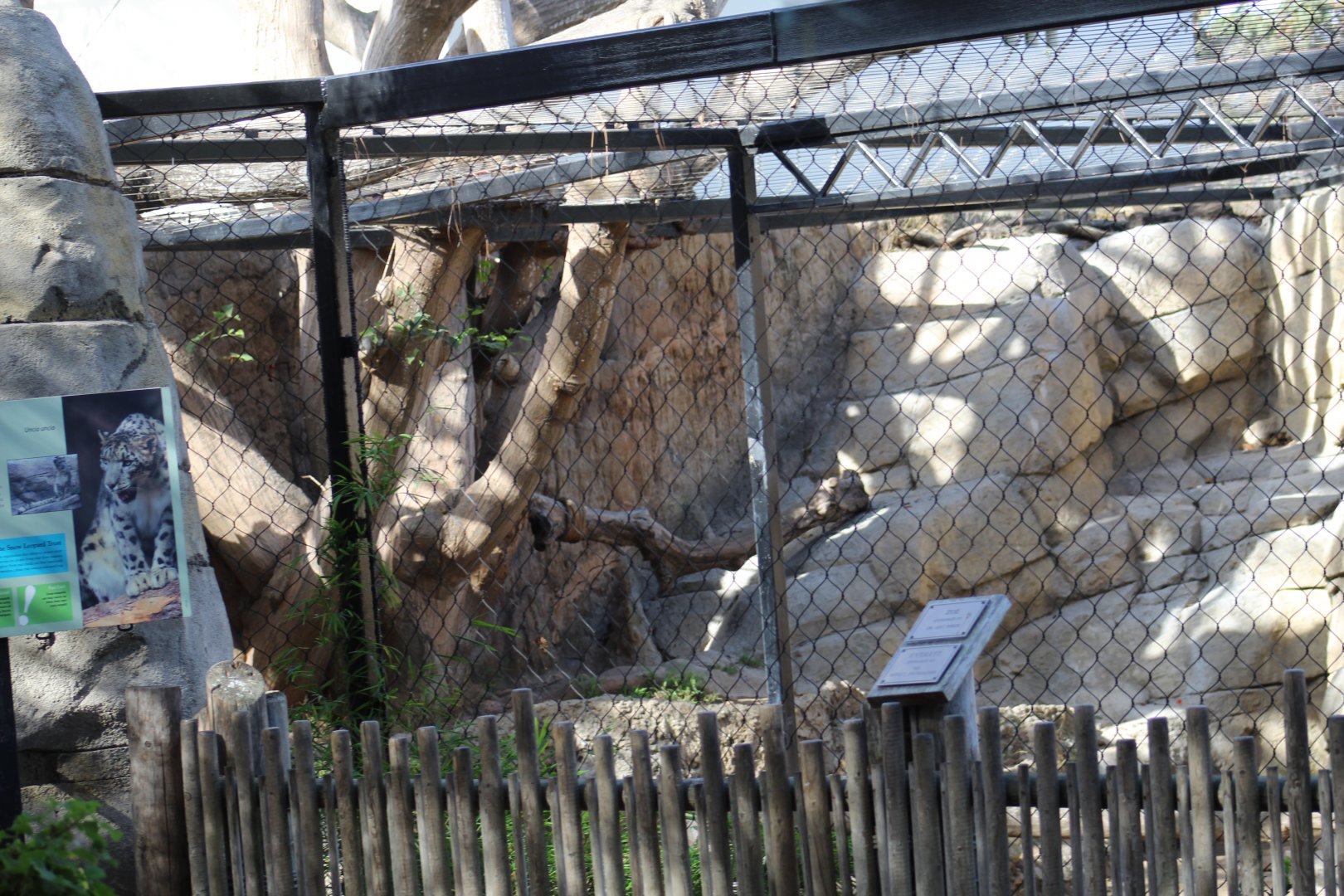 Snow Leopard Enclosure