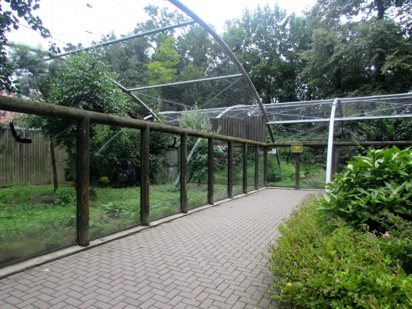 Snow Leopard enclosure