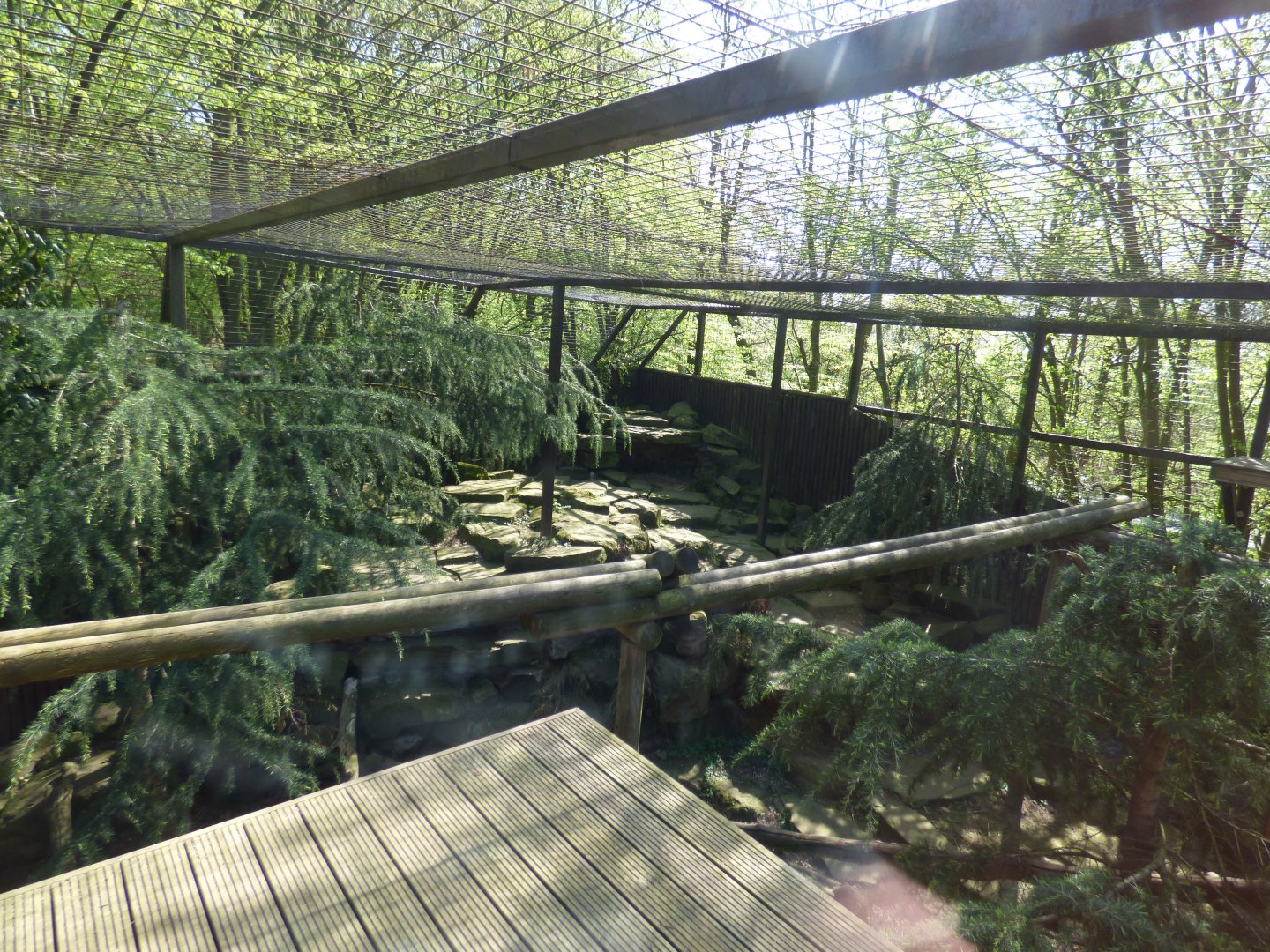 Snow Leopard Enclosure