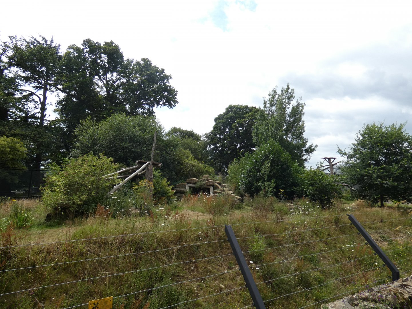 Snow Leopard enclosure