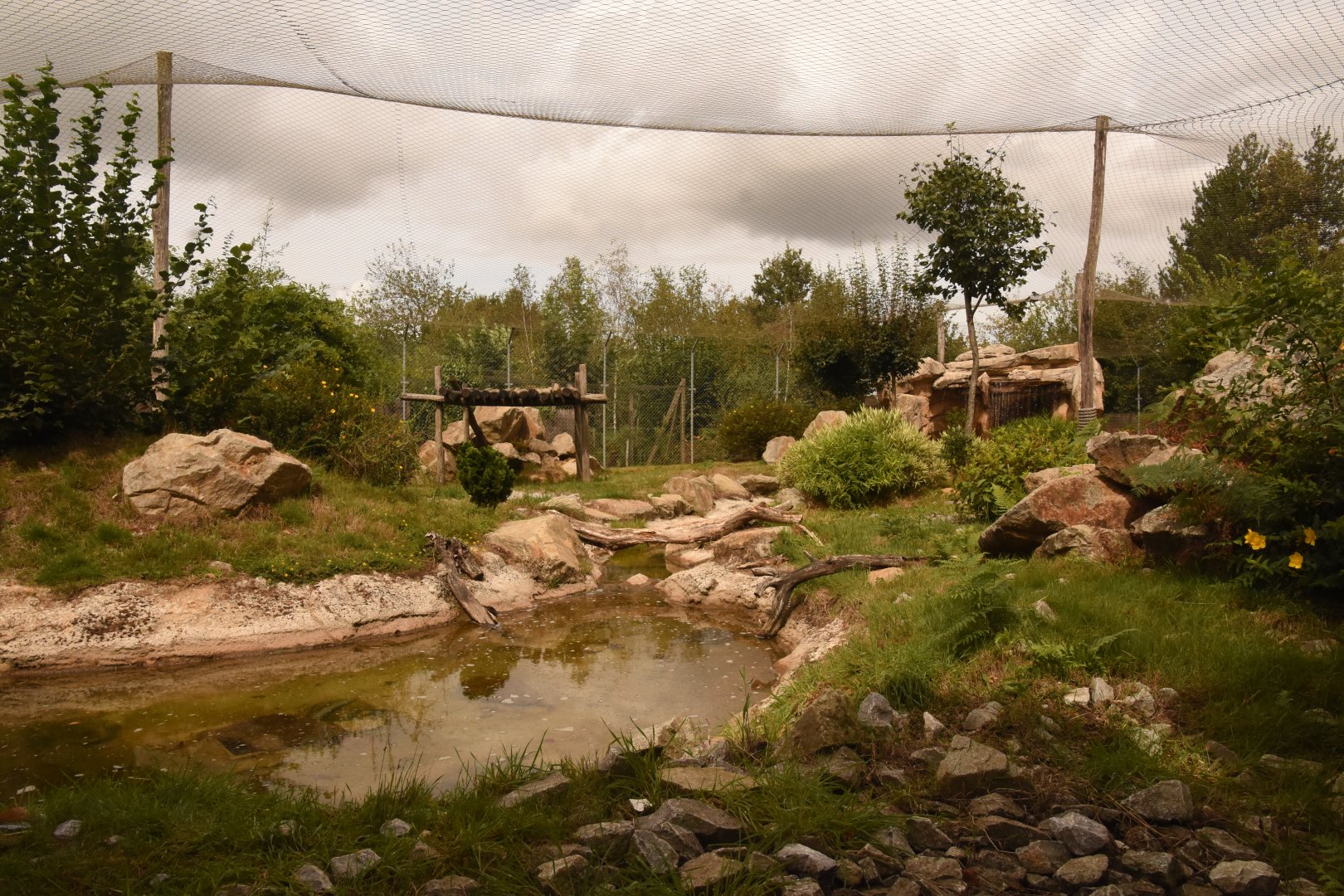 Snow Leopard enclosure