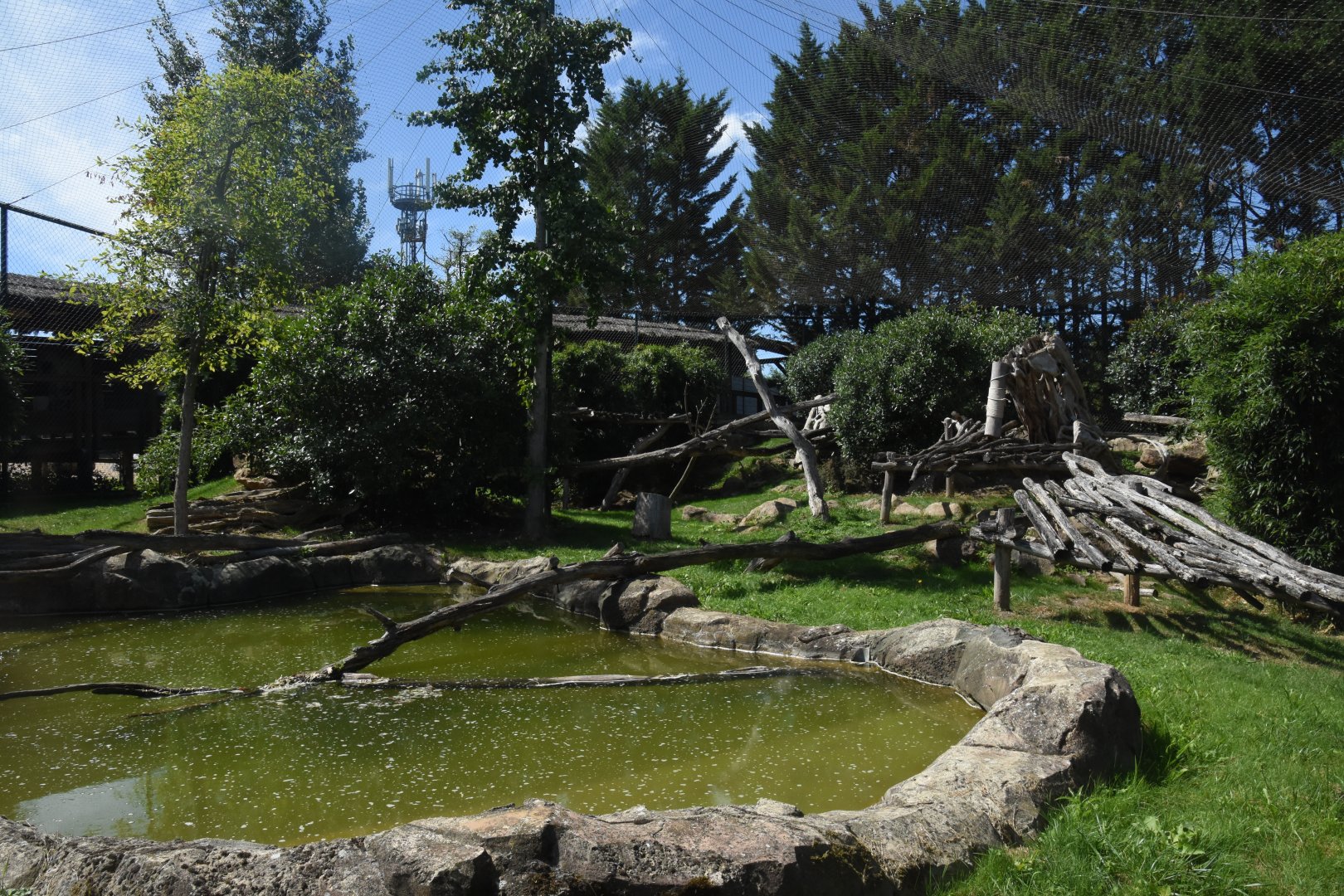 Snow Leopard enclosure
