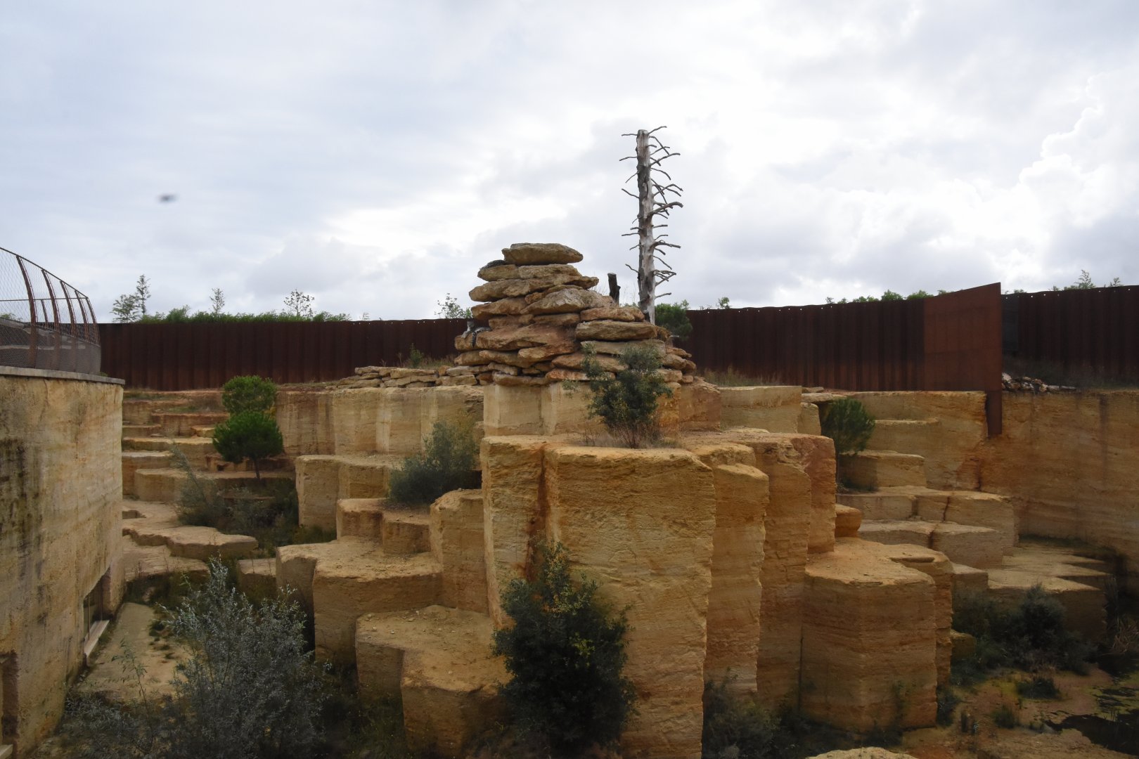 Snow leopard enclosure