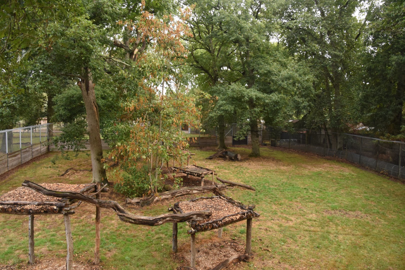 Snow Leopard enclosure