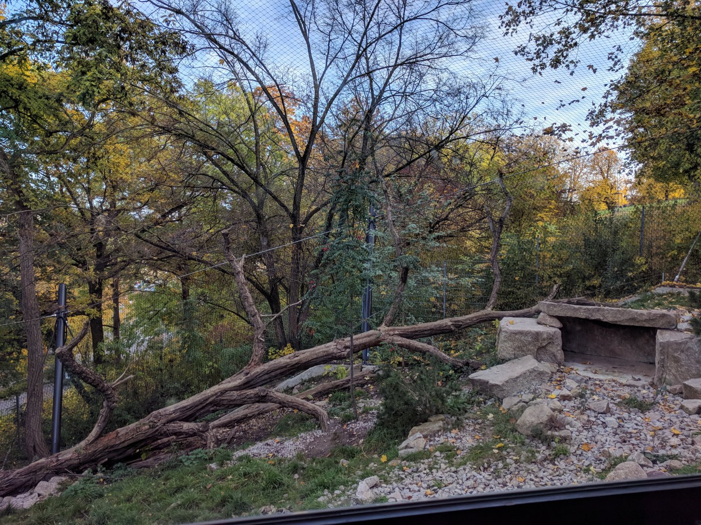 Snow Leopard Enclosure