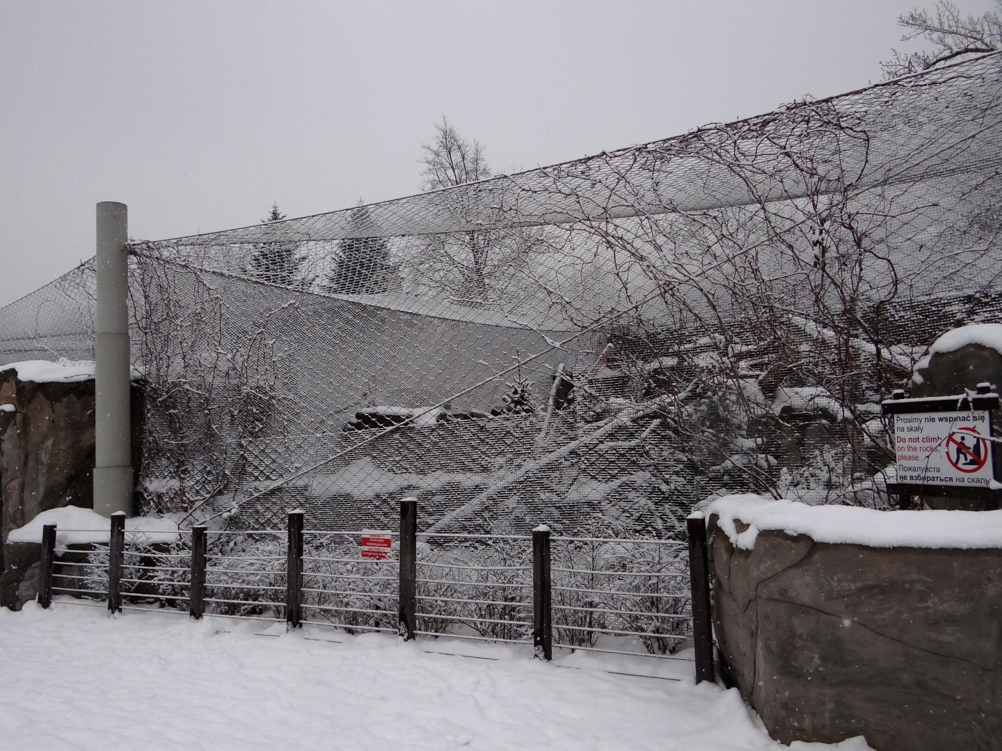 Snow Leopard enclosure