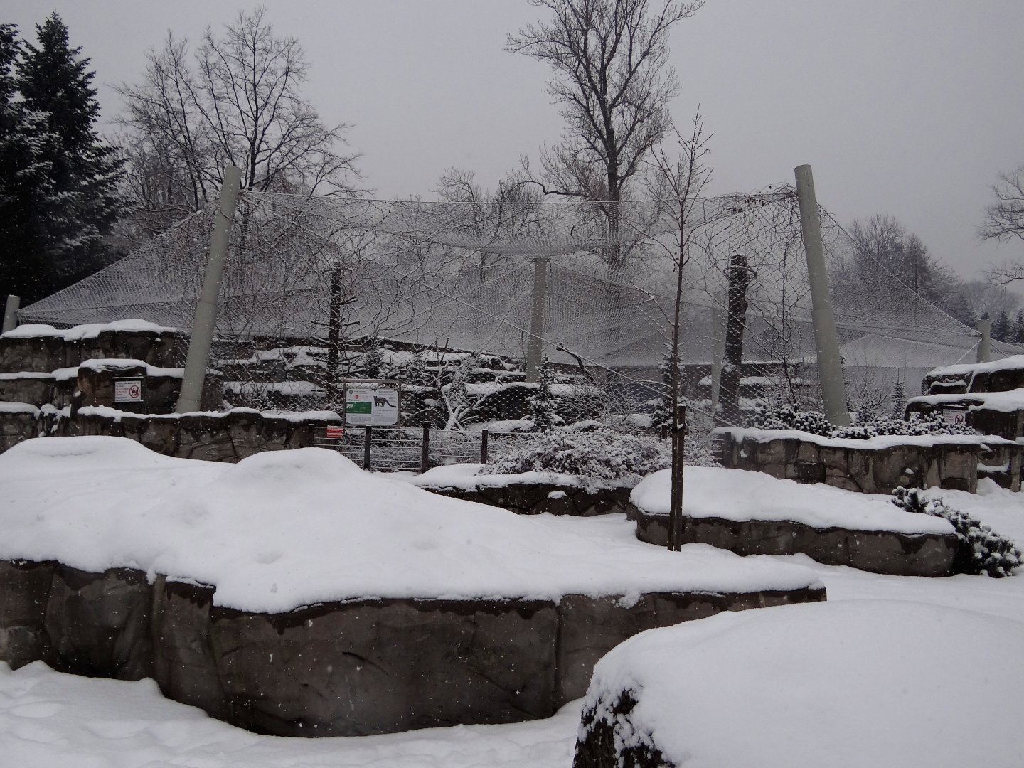 Snow Leopard enclosure