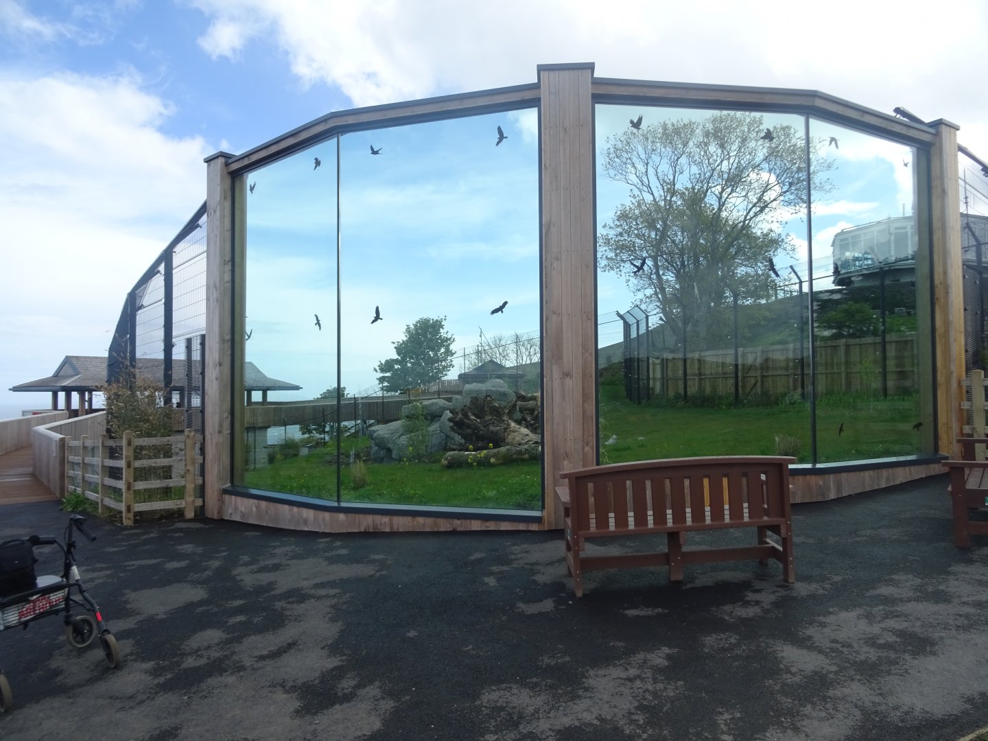 Snow leopard enclosure