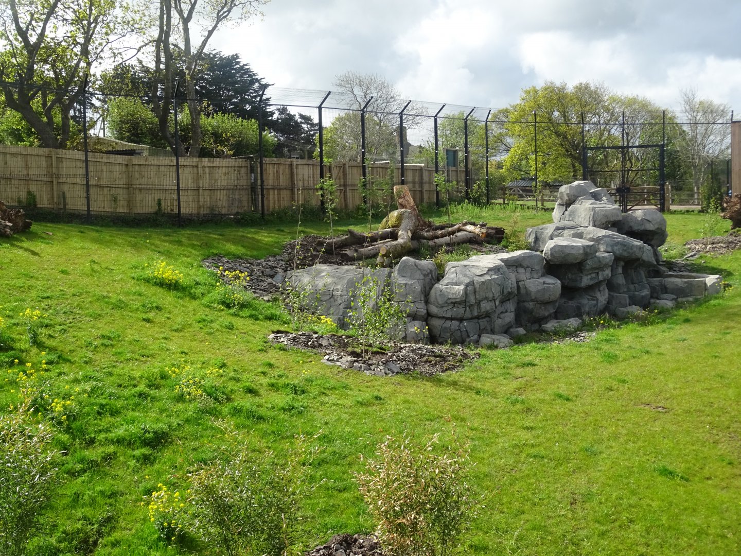 Snow leopard enclosure