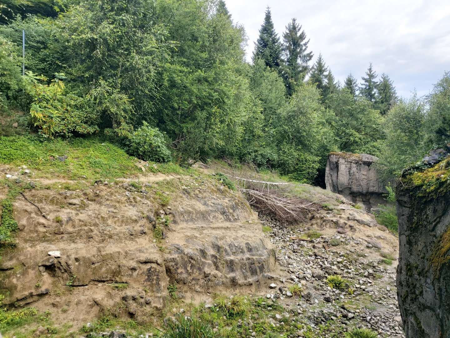 Snow leopard enclosure