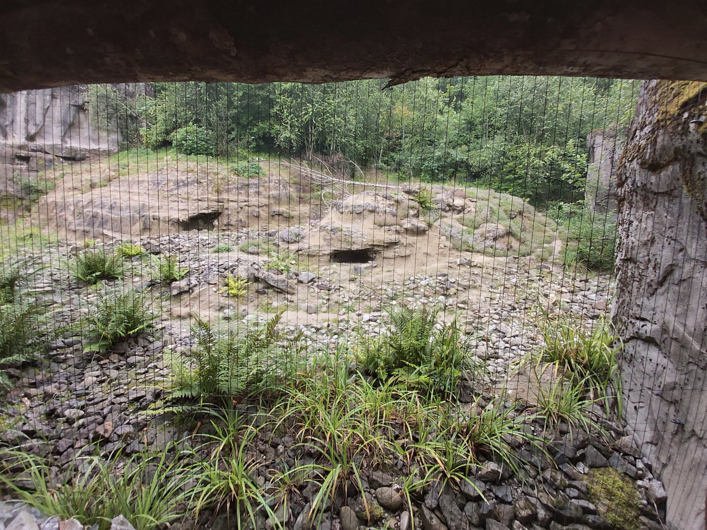 Snow leopard enclosure