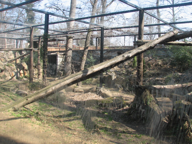 Snow leopard enclosure