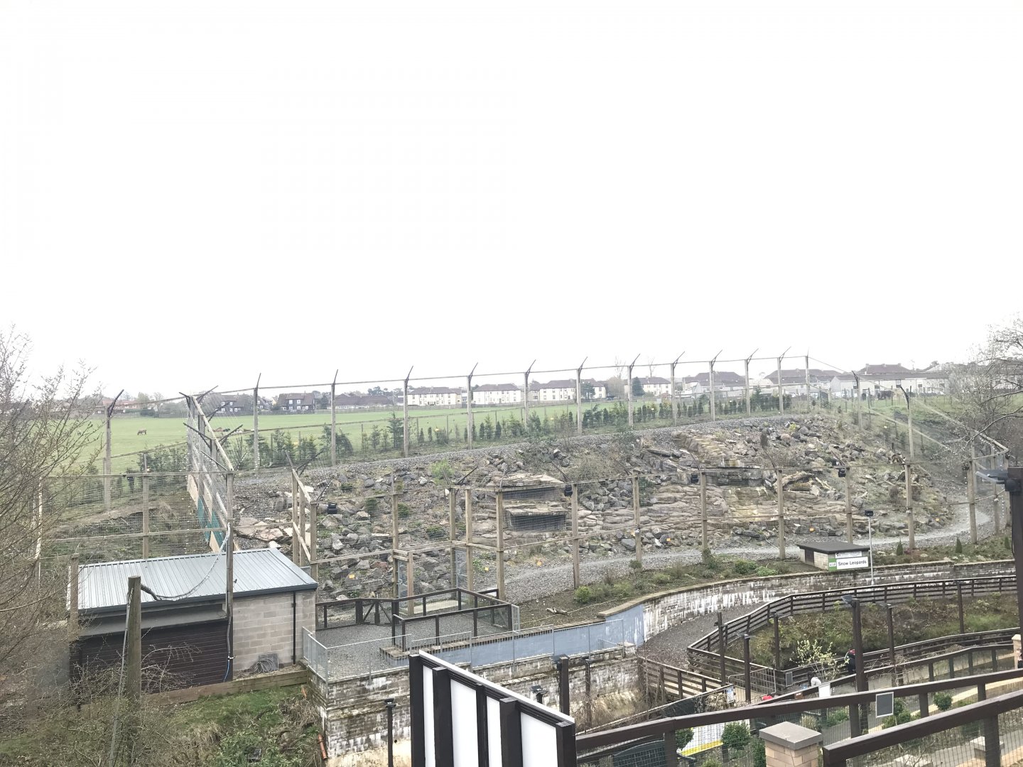 Snow leopard enclosure