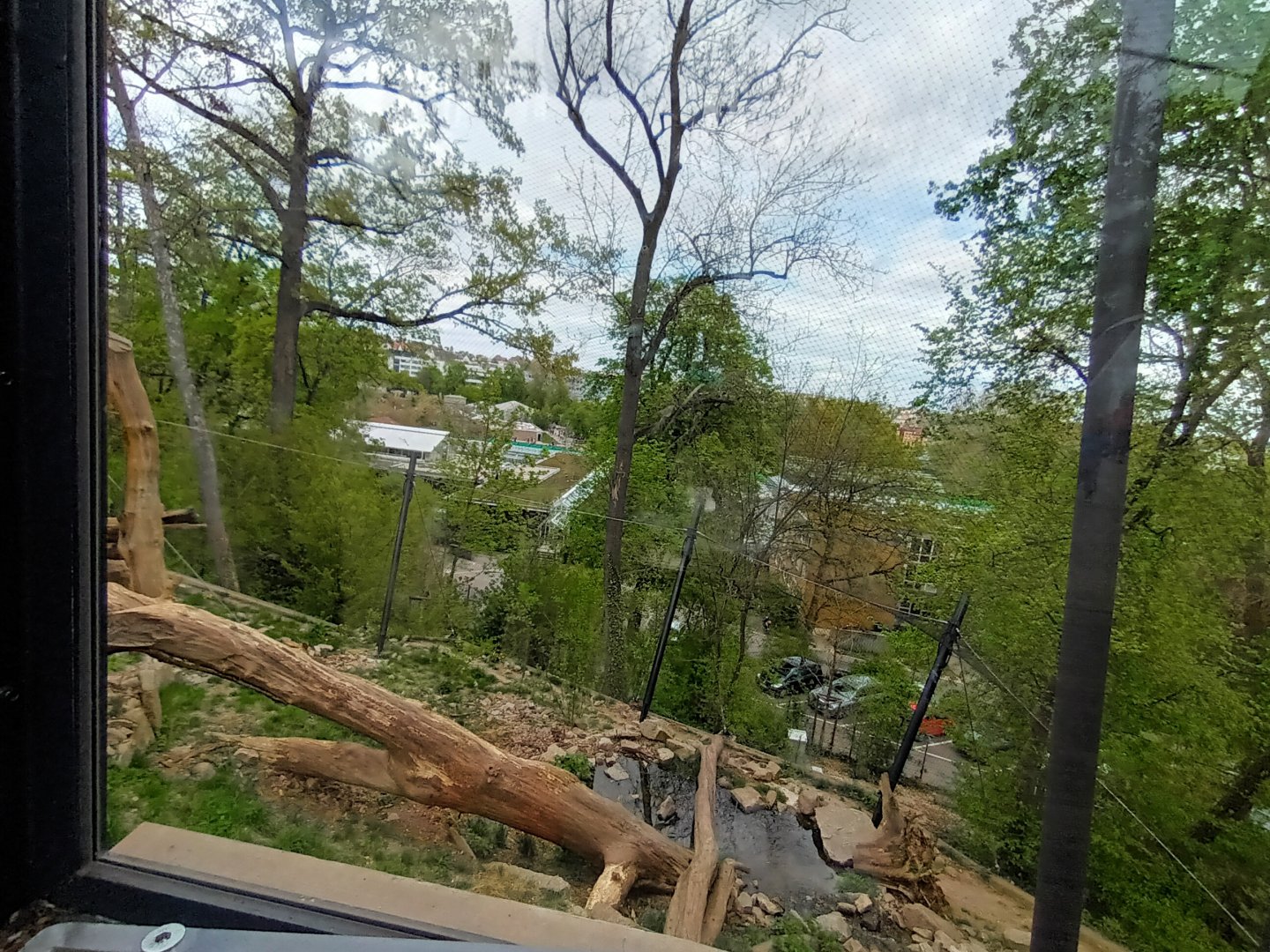 Snow Leopard Enclosure