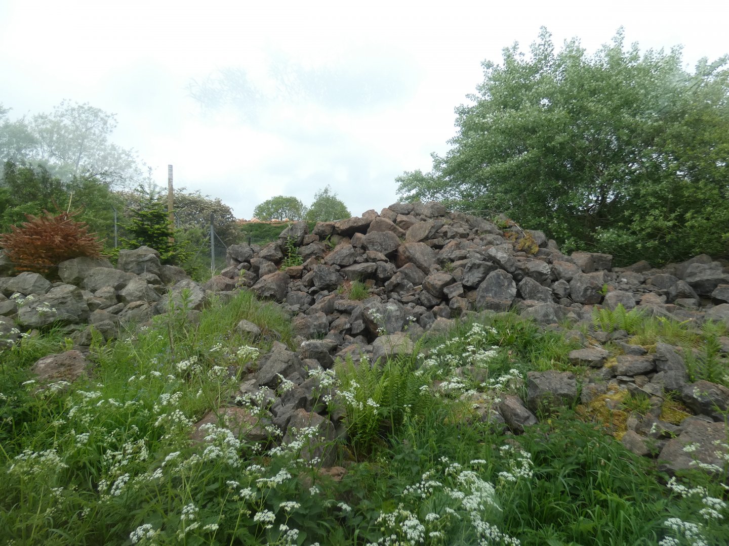Snow leopard enclosure