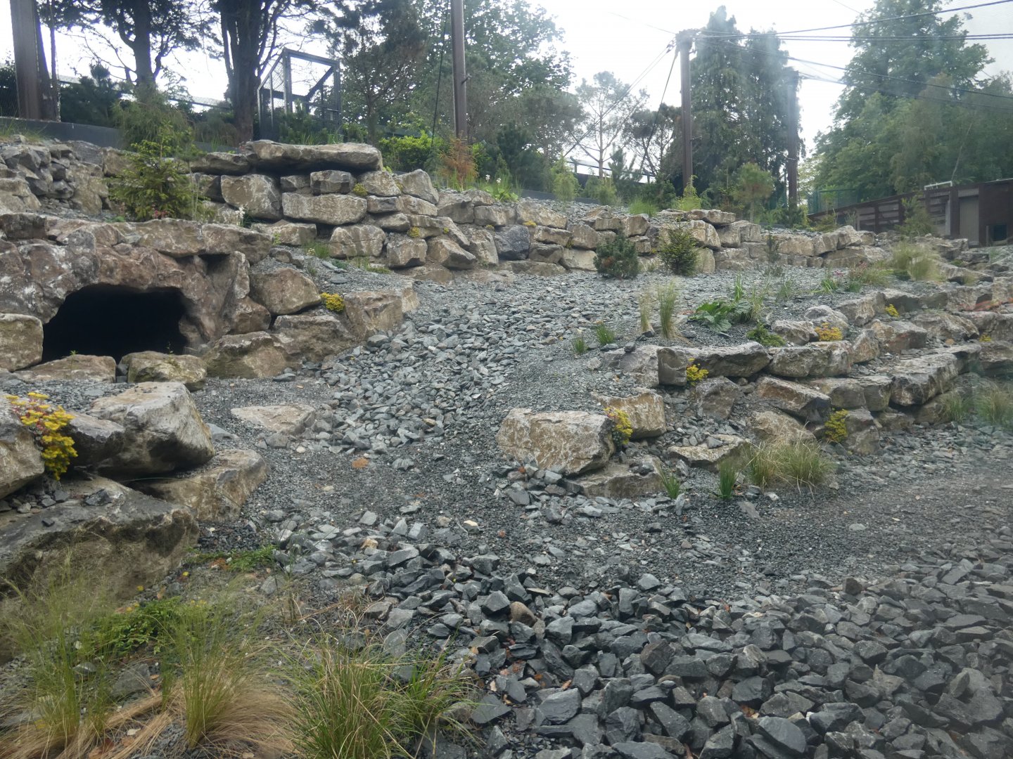 Snow leopard enclosure