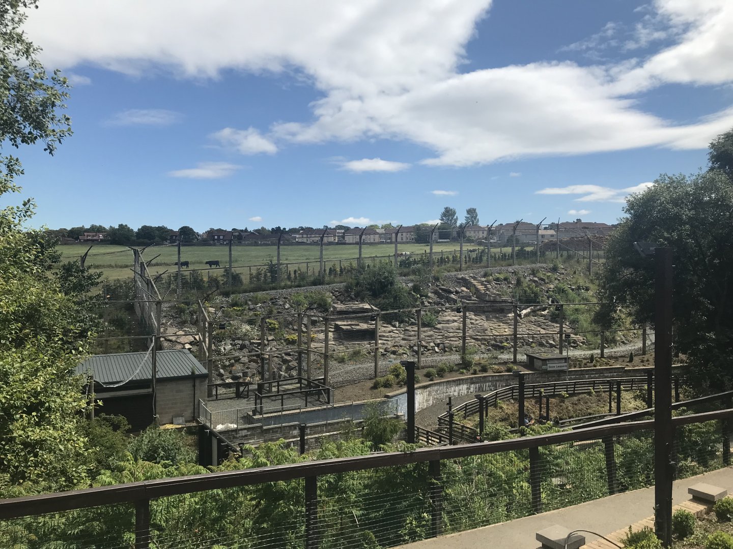 Snow leopard enclosure