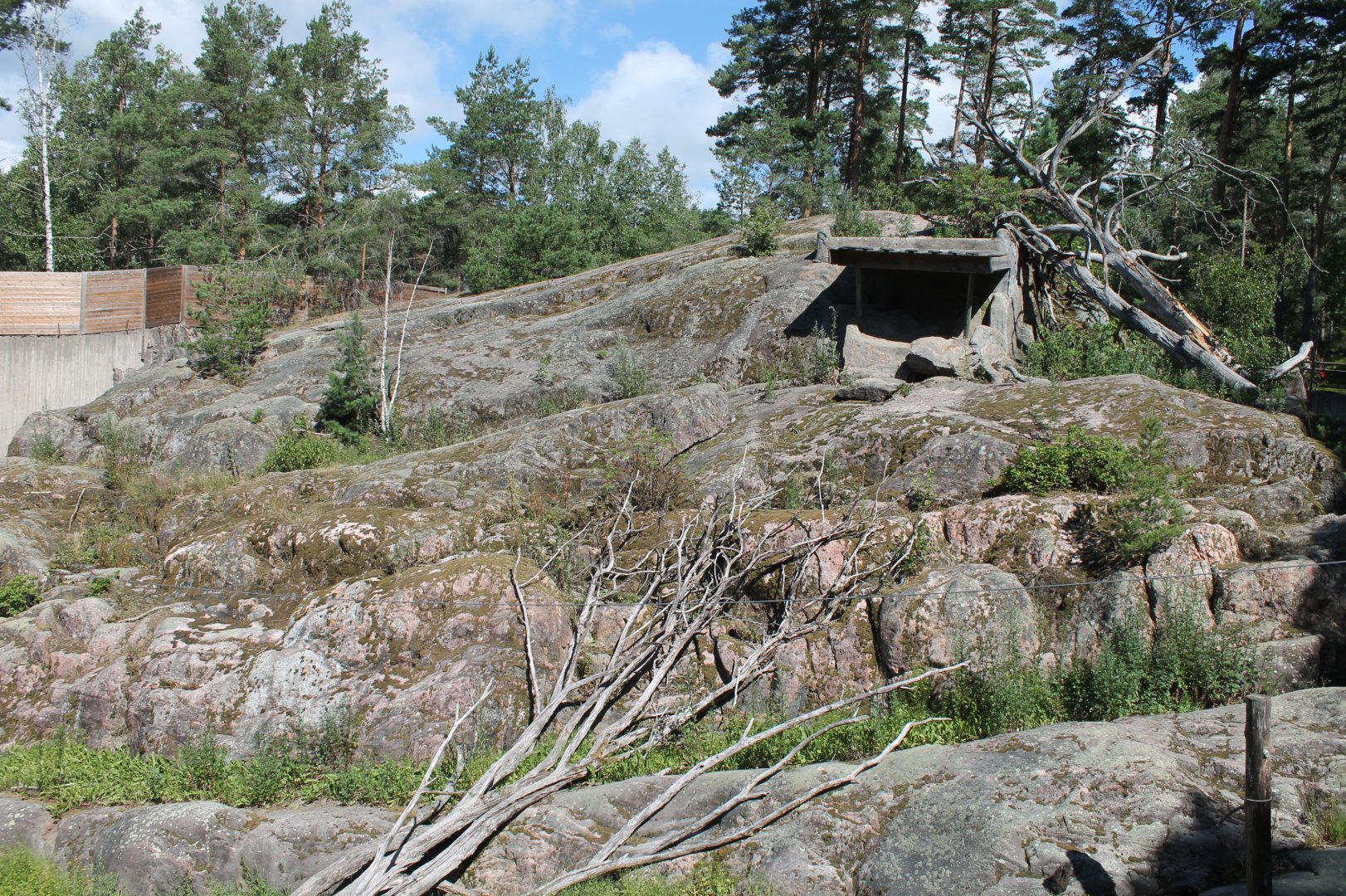 Snow Leopard Enclosure