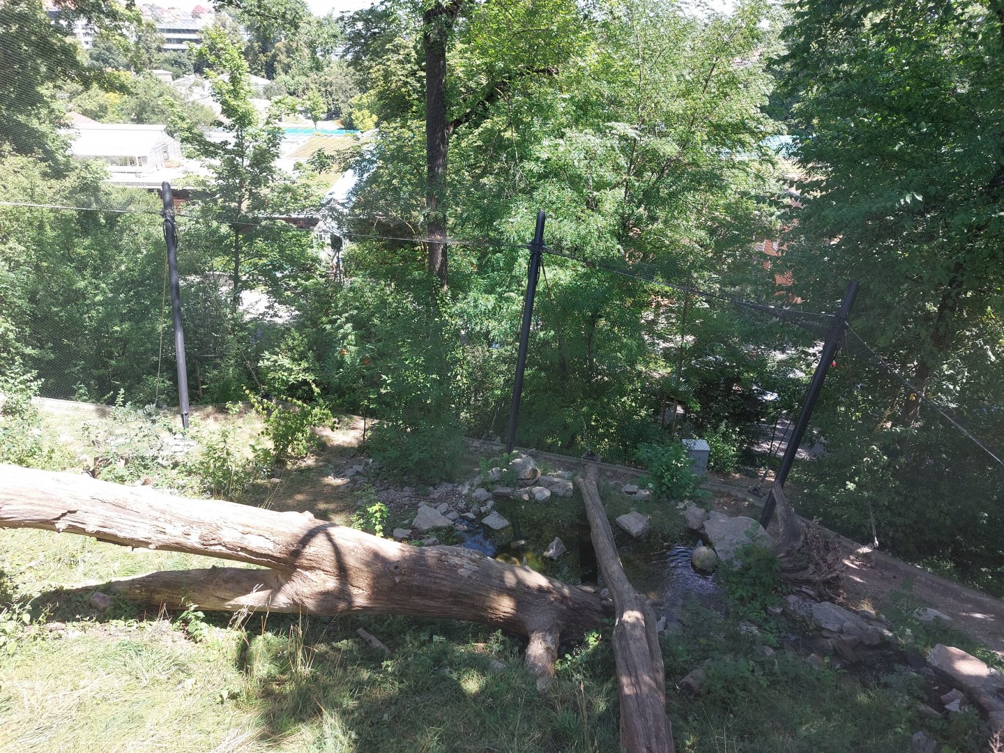 Snow leopard enclosure