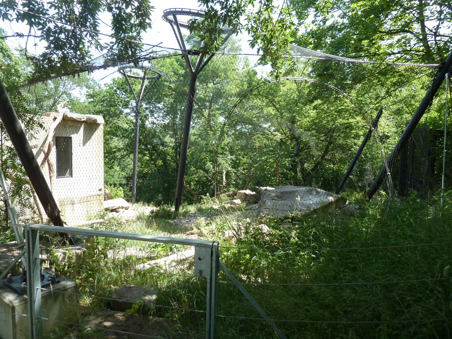 Snow leopard enclosure