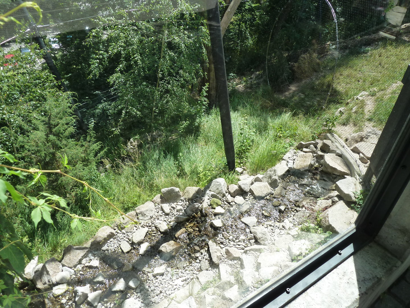 Snow leopard enclosure