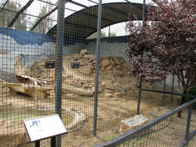 Snow Leopard Enclosure