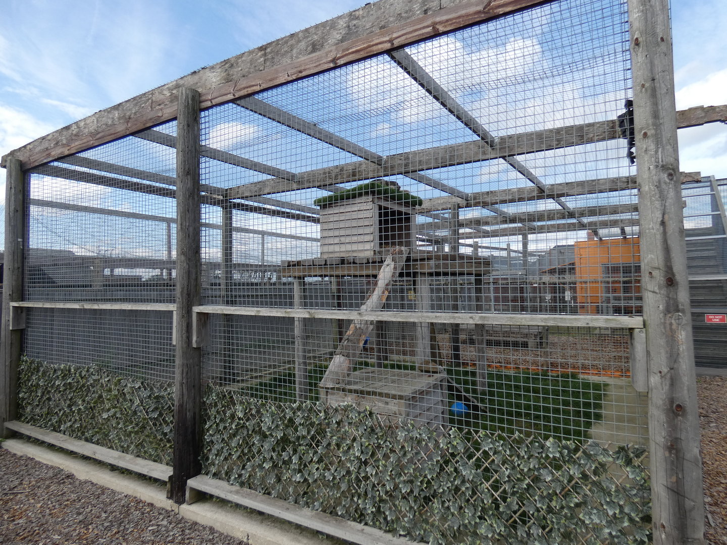 Snow leopard enclosure