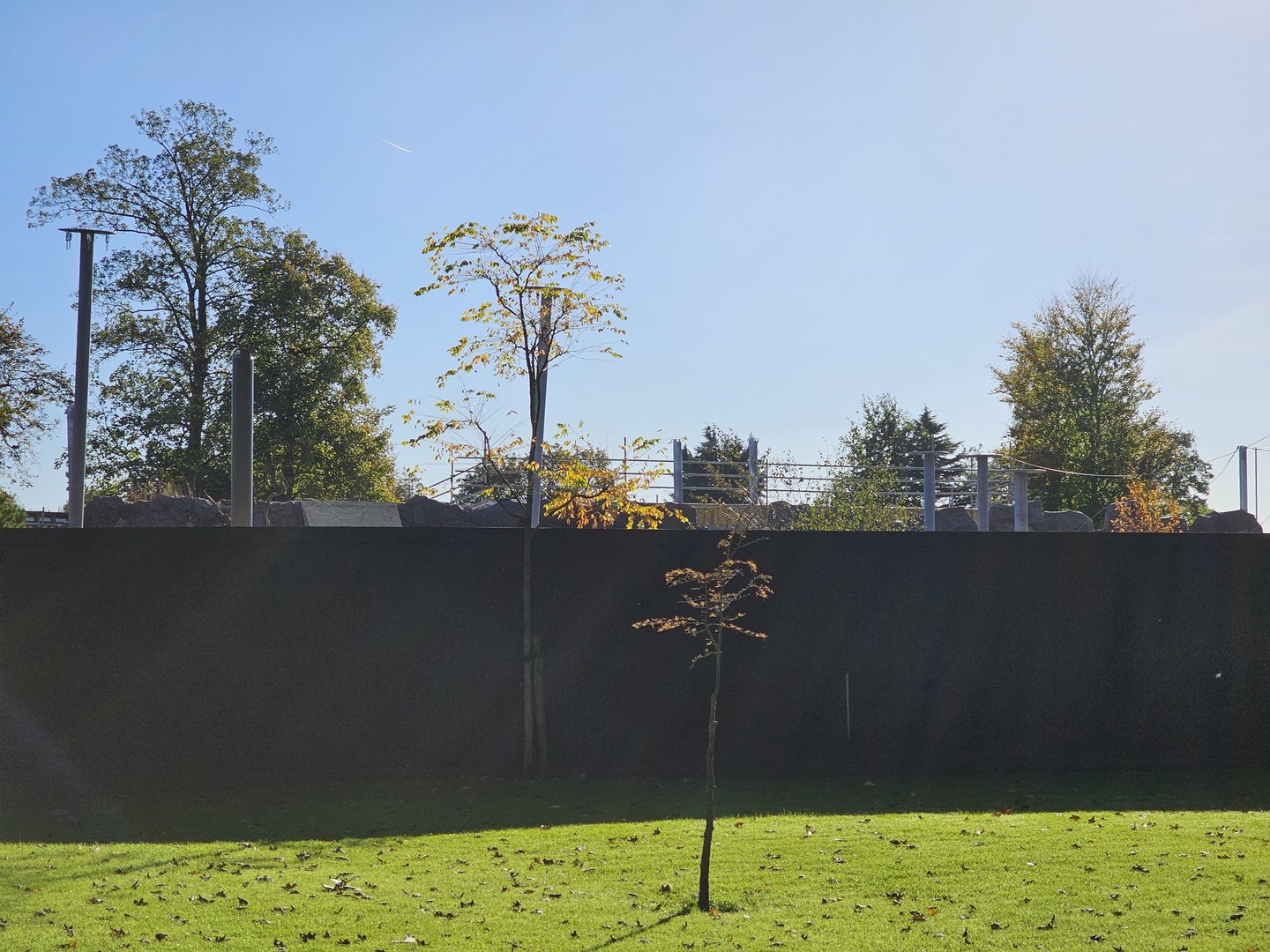 Snow leopard enclosure