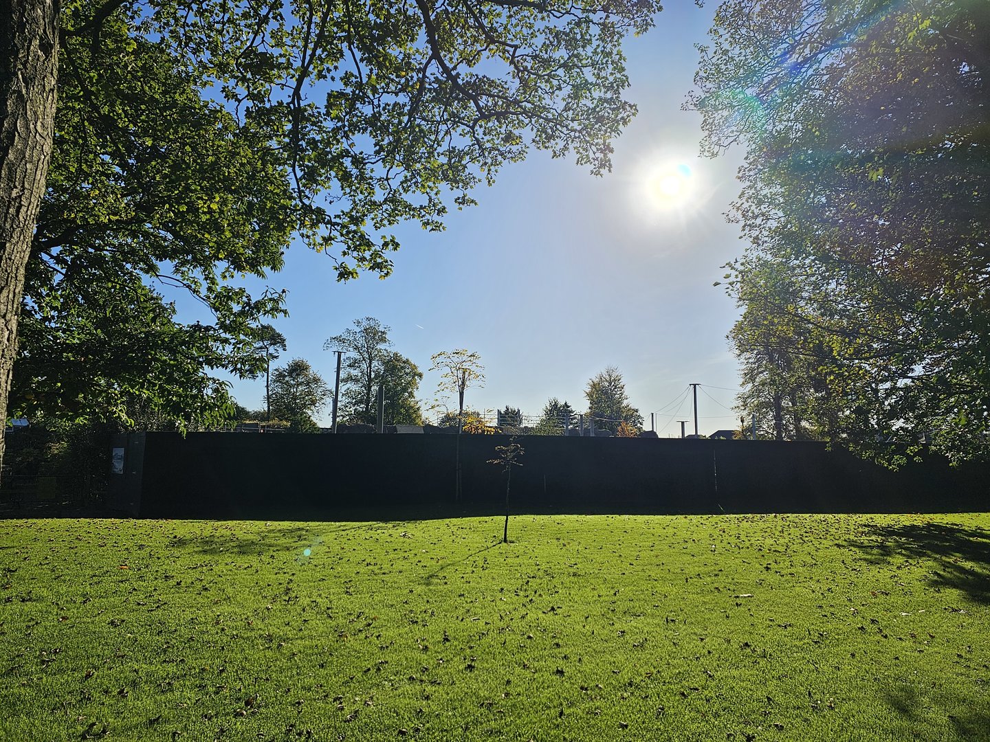 Snow leopard enclosure