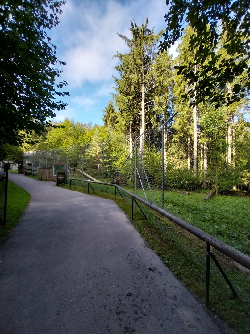 Snow leopard enclosure