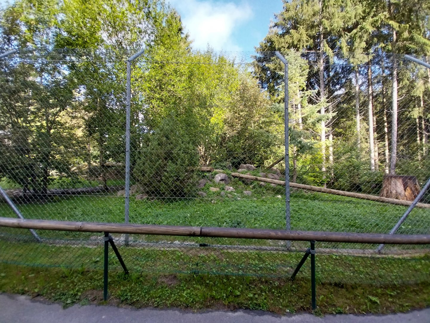 Snow leopard enclosure