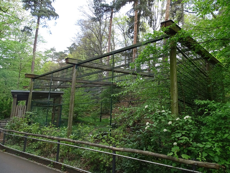 Snow leopard enclosure