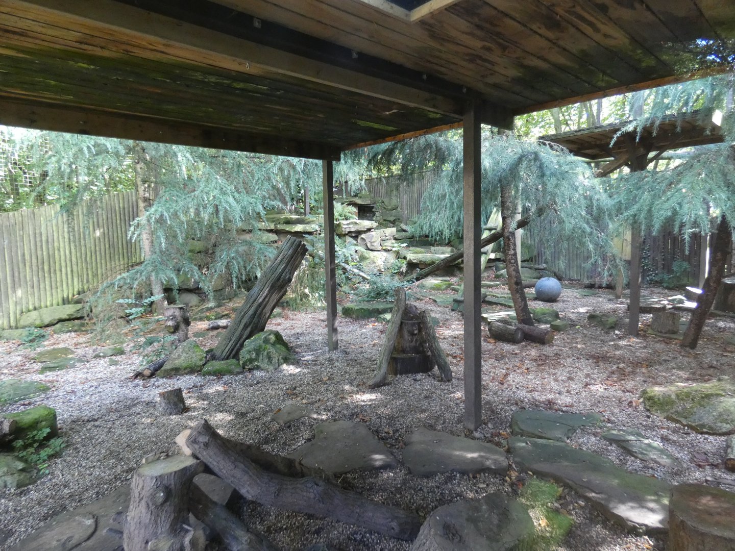 Snow leopard enclosure