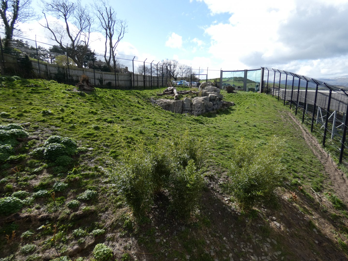 Snow leopard enclosure