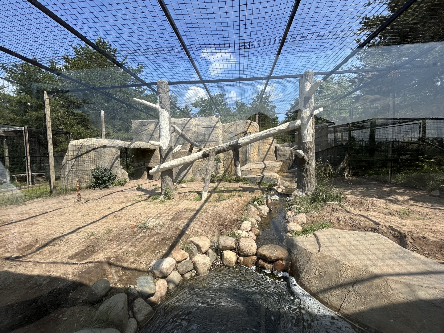 snow leopard enclosure