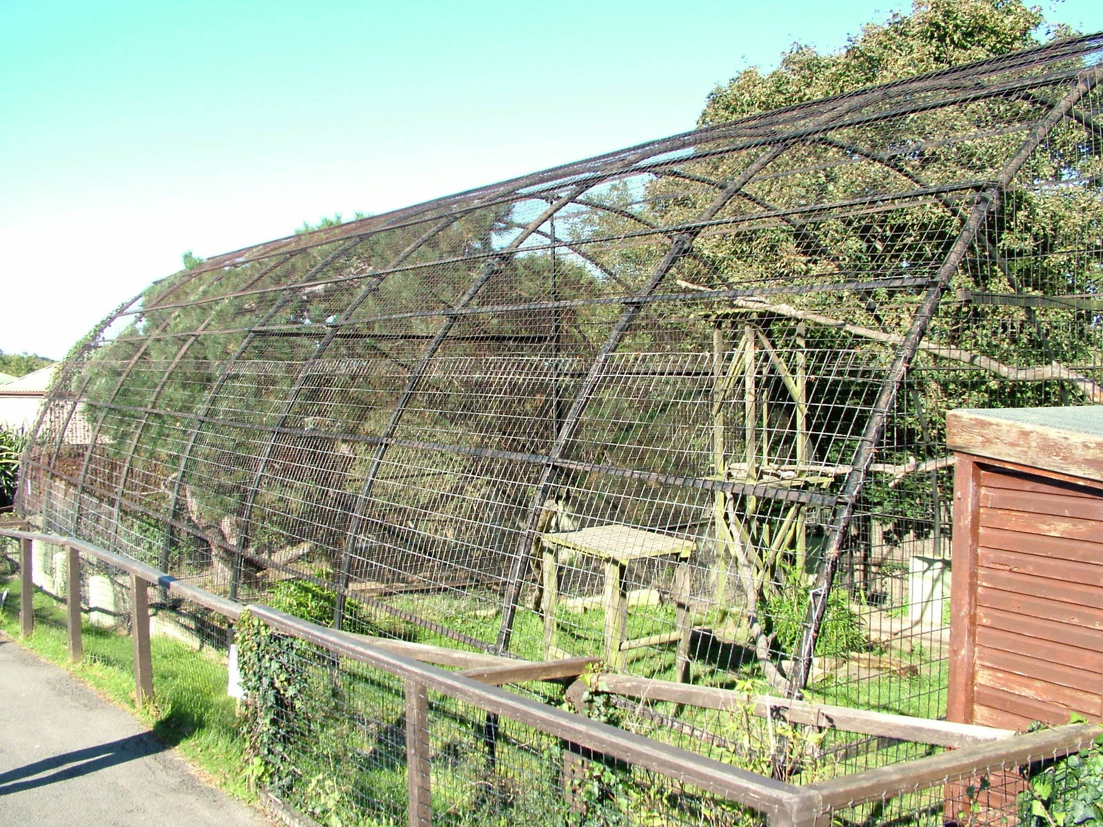 Snow Leopard enclosures at the Welsh Mountain Zoo Oct 08