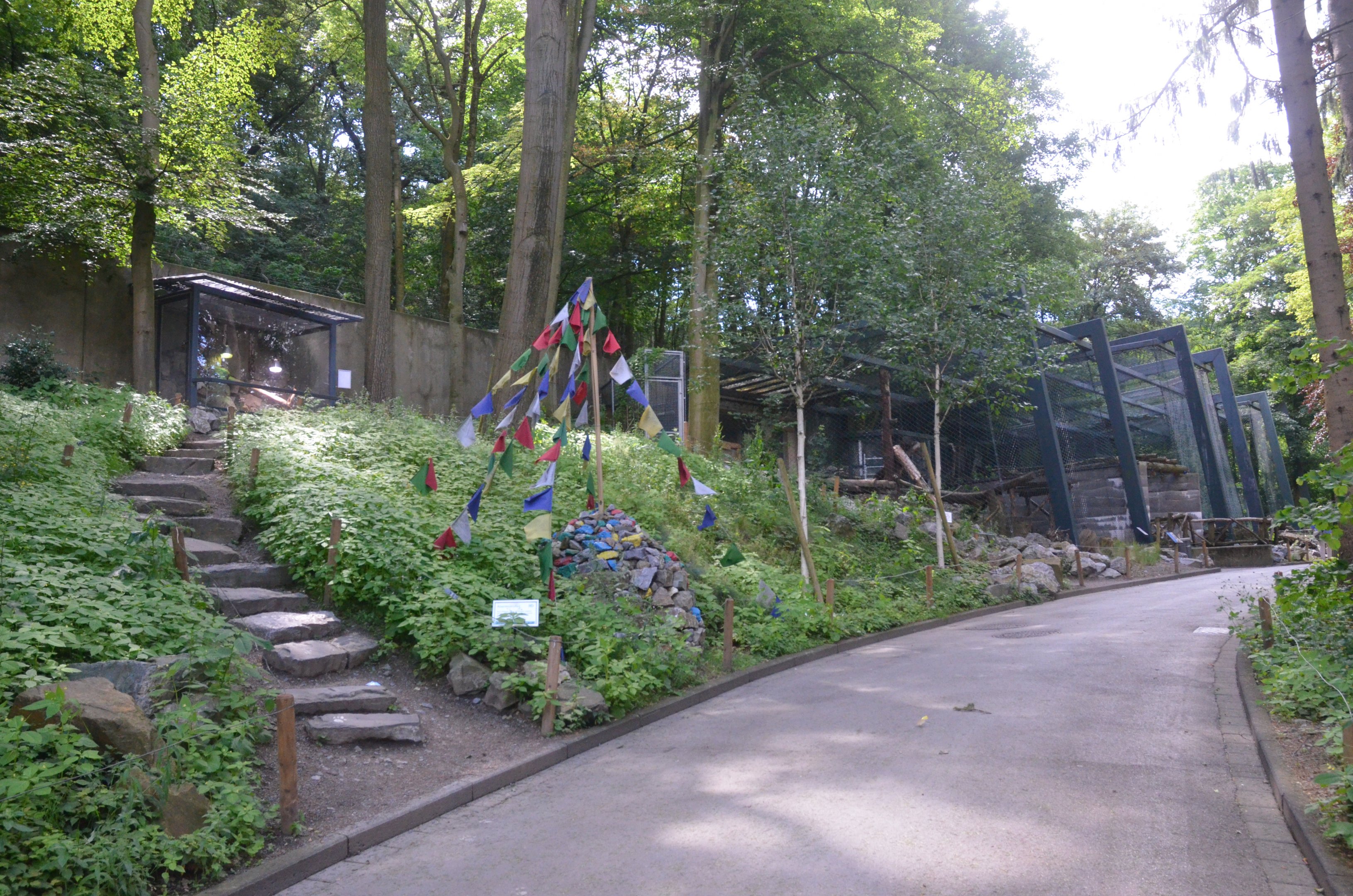 Snow Leopard Enclosures at Wuppertal, 16/06/19