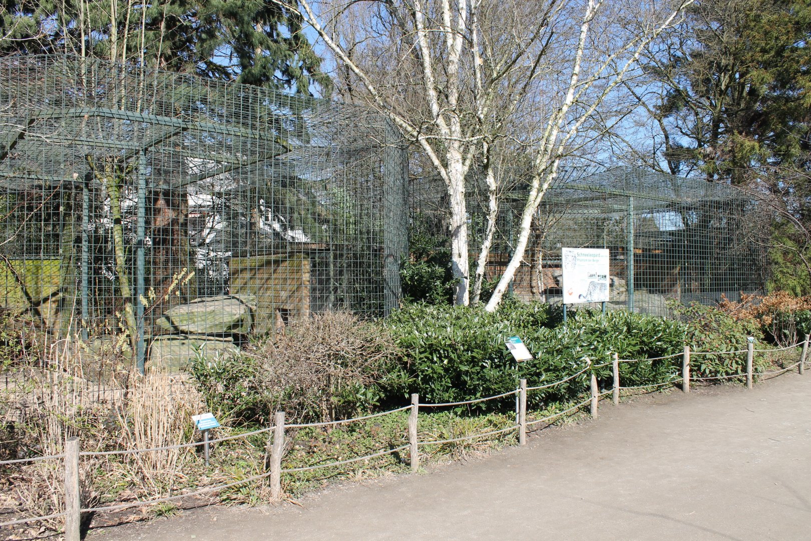 Snow leopard-enclosures
