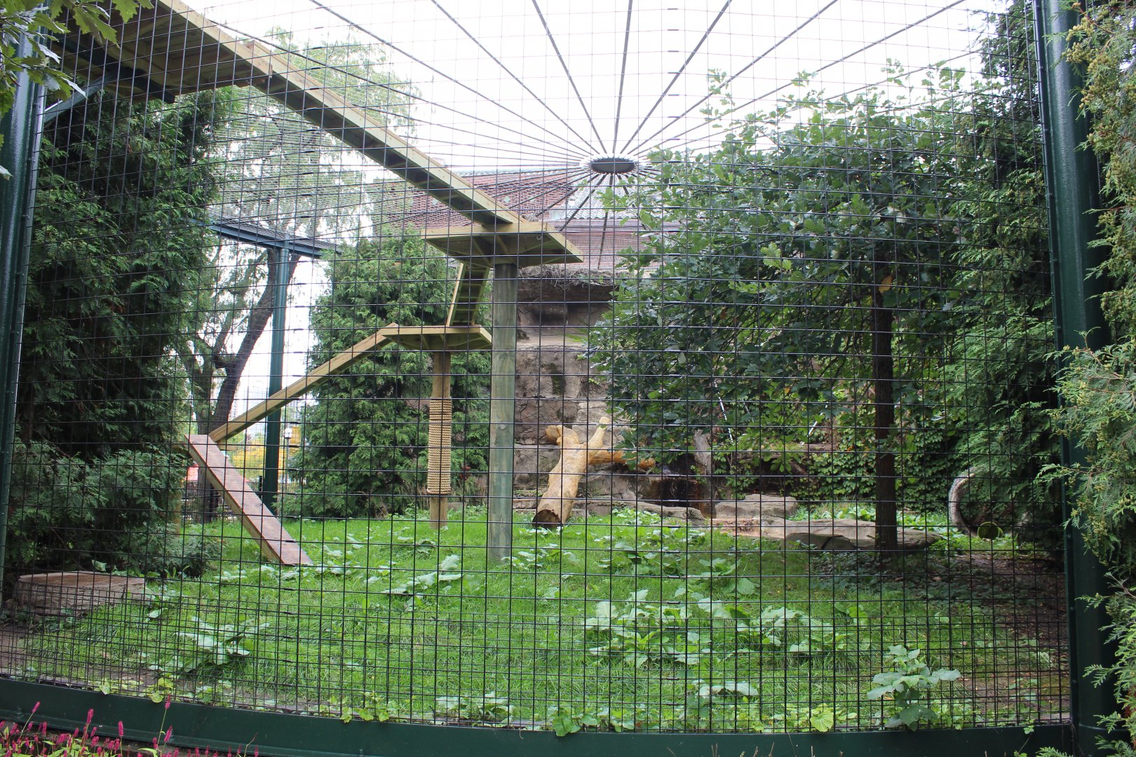Snow Leopard Exhibit #1 - Pepper Family Wildlife Center