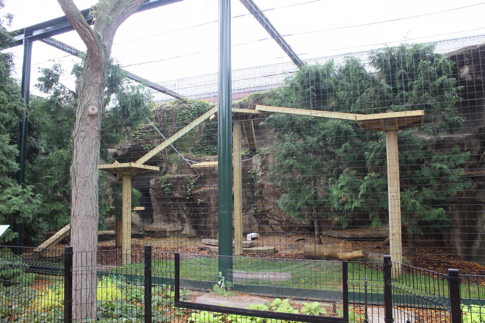 Snow Leopard Exhibit #2 - Pepper Family Wildlife Center