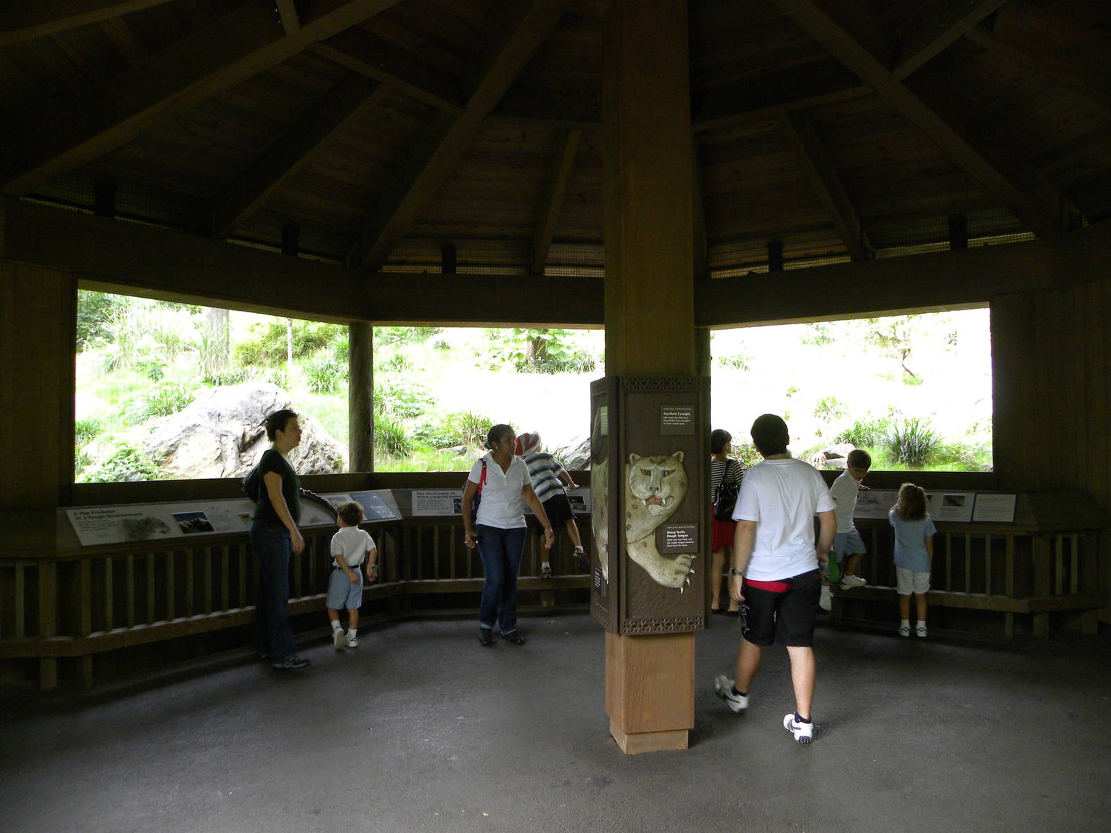 Snow Leopard Exhibit #2