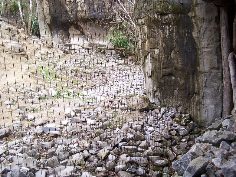 snow leopard Exhibit 2