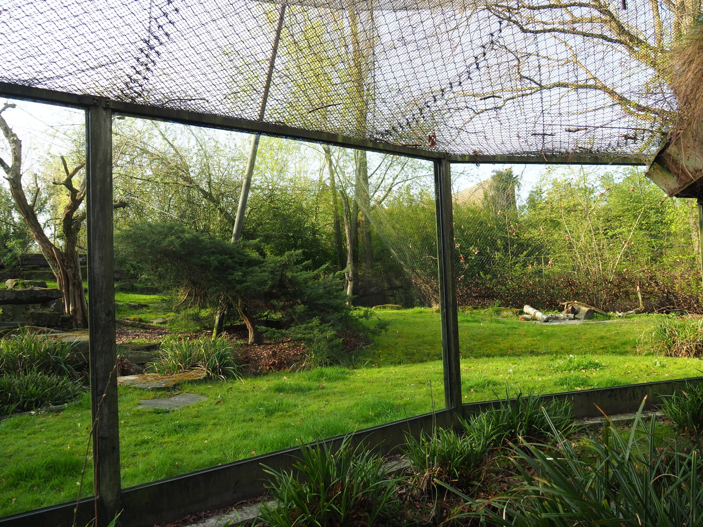 Snow leopard exhibit, 2022-04-12