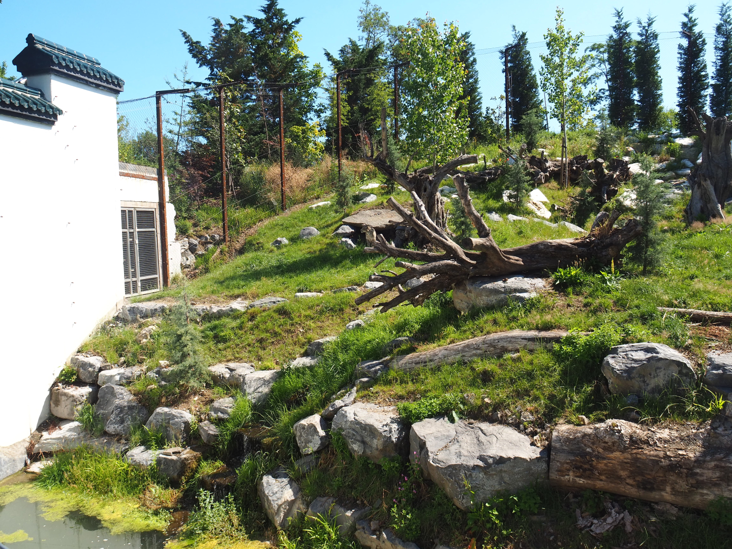 Snow leopard exhibit, 2022-06-28